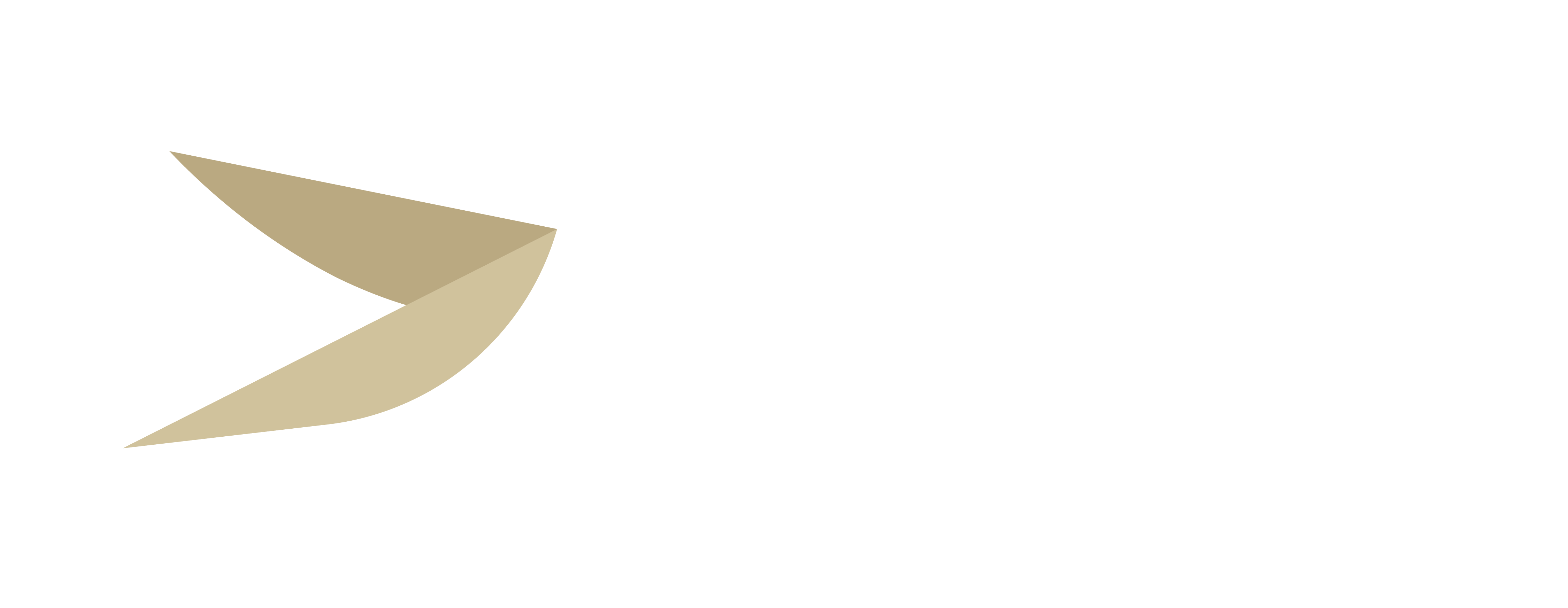 Fly Cham Logo